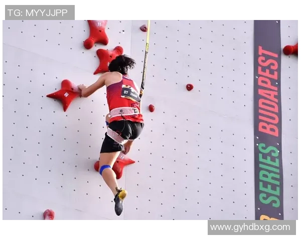 赛后复盘：上海攀岩队与深圳攀岩队的默契配合与战术分析